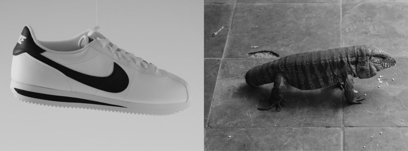 'Un arbre és un arbre', de Carlos Marqués-Marcet y Aleix Planademunt.